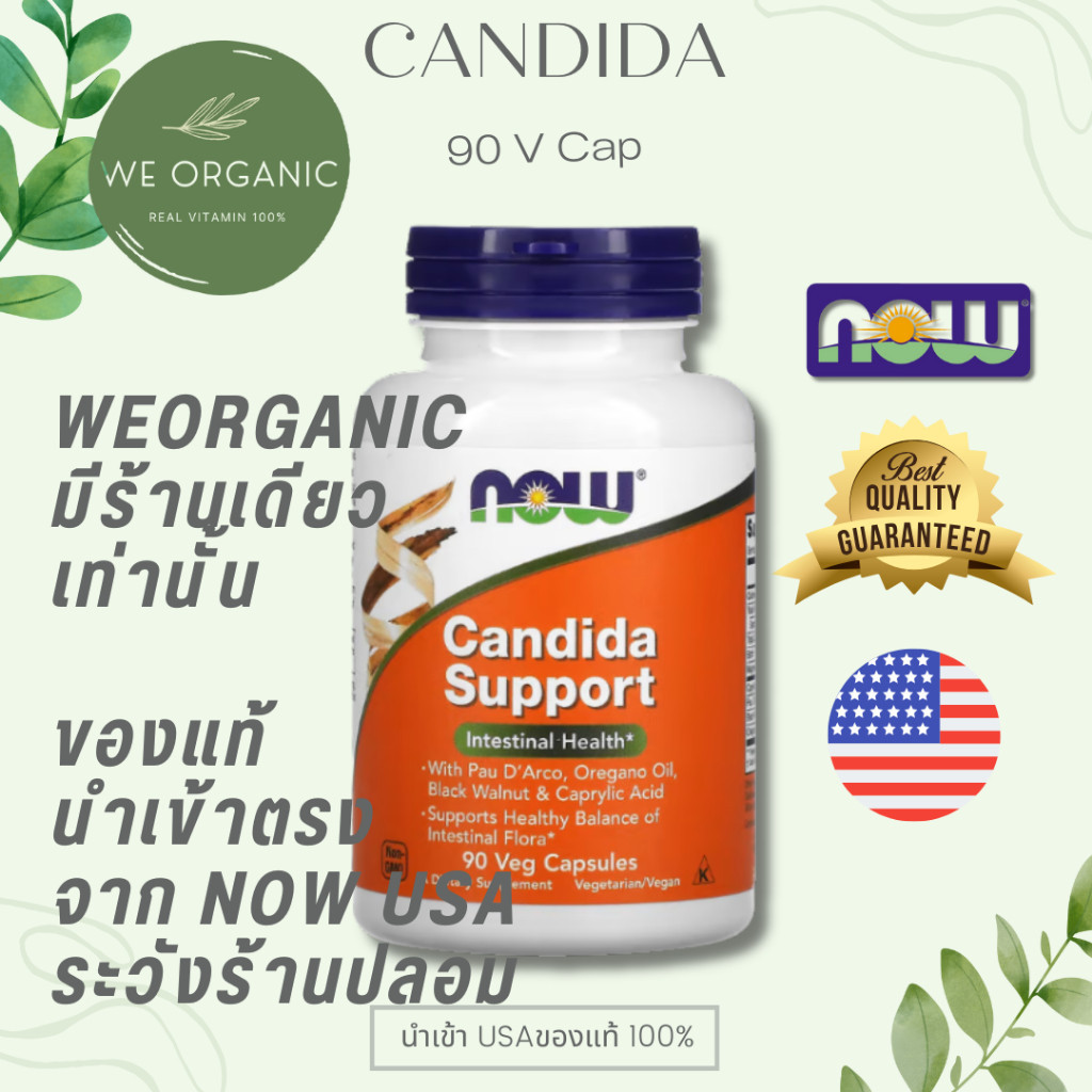 [พร้อมจัดส่ง] Candida Support 90/180 capsules  NOW FOOD