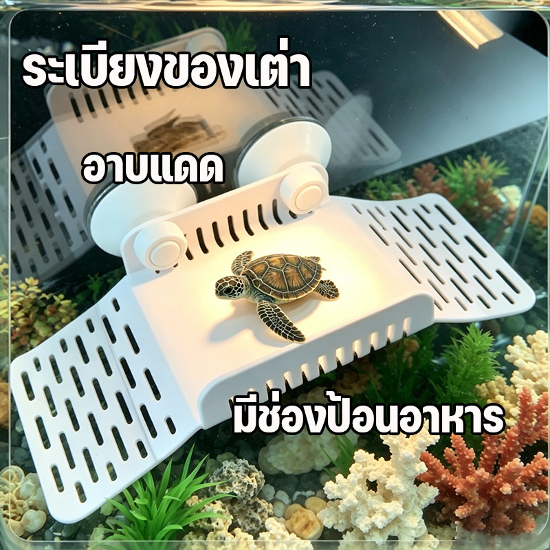 ระเบียงของเต่า โต๊ะปีนเขาเต่า อาบแดด มีช่องป้อนอาหาร ทำให้เต่ามีสุขภาพดีขึ้น ทำความสะอาดง่าย