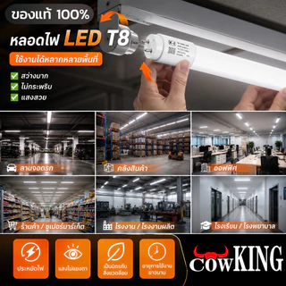 หลอดไฟนีออน LED T8 1.2 เมตร 20W แสงสีขาว สว่างชัด ประหยัดพลังงาน ห้องนอน สำนักงาน ออฟฟิต（1หลอด）