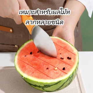 Xintai เครื่องหั่นมะม่วง/เครื่องหั่นแตงโมสแตนเลส/เครื่องหั่นลูกเต๋า/เครื่องปอกเปลือก/เครื่องหั่นมะม่วง/เครื่องหั่น