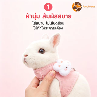 สายจูงกระต่าย ของใช้กระต่าย เชือกลากกระต่าย สะดวกสบาย ระบายอากาศ มีฤดูกาลทั้งสี่