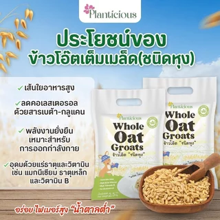 Planticious Whole Oat Groats แพลนติเชียส ข้าวโอ๊ตแบบหุง [สินค้ามีให้เลือก 2 ขนาด] ข้าวโอ๊ต ธัญพืช ไฟเบอร์สูง