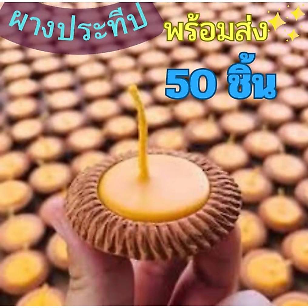 พร้อมส่ง (50 ชิ้น) ผางประทีป เทียนบูชา เทียนพุทธบูชา เทียน เทียนบูชาพระ ราคาส่ง