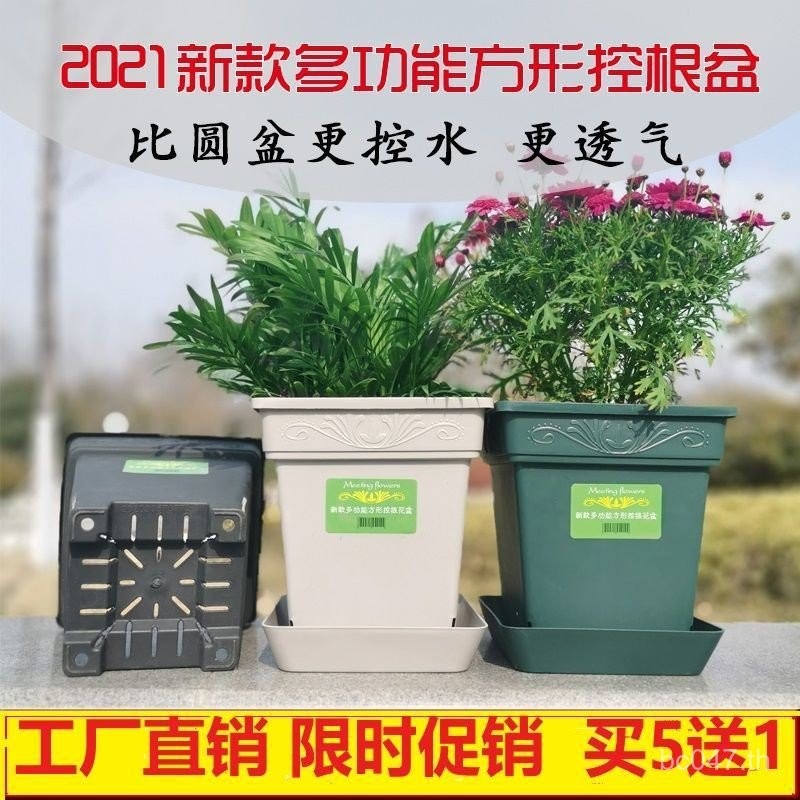 Aoyama หม้อควบคุมรากติดผนังขนาดใหญ่พิเศษเรซินผักชีฝรั่งสีเขียว Aoyama หม้อแกลลอน Rose Aoyama Square 