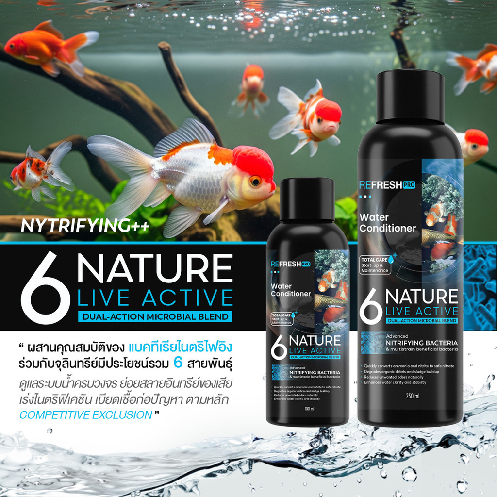 6NATURE จุลินทรีย์บำบัดน้ำ ตู้ปลา Nitrifying + Bacillus 6 สายพันธุ์ น้ำใส ลดกลิ่น ตั้งตู้/บ่อปลา ไม้น้ำ กุ้ง - รูปที่ 6