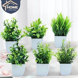 พร้อมส่ง พืชประดิษฐ์ แบบน้ำค้างแข็ง พืชสีเขียว กระถางต้นไม้ข…