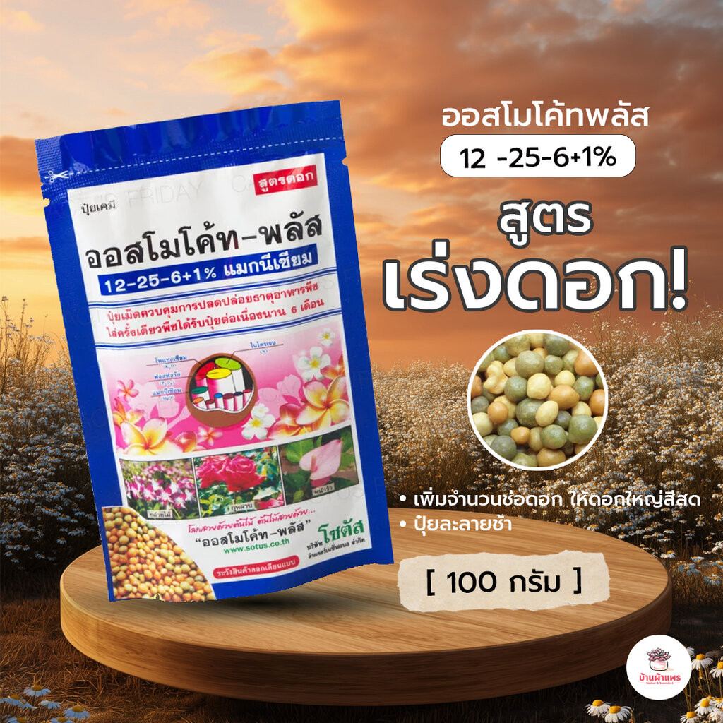 [ 100 กรัม ] ออสโมโค้ทพลัส 12 -25-6+1% แบบซอง ไม้อวบน้ำ กุหลาบหิน cactus&succulent