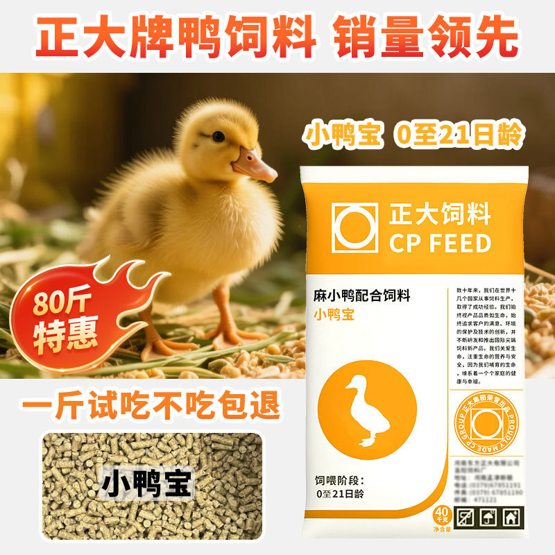 正 Big 241 Little Duck Baby Feed For Duck Pets Cole Duck เป็ดน้อยสีเหลือง อาหารห่านน้อย Zhengda 241 y