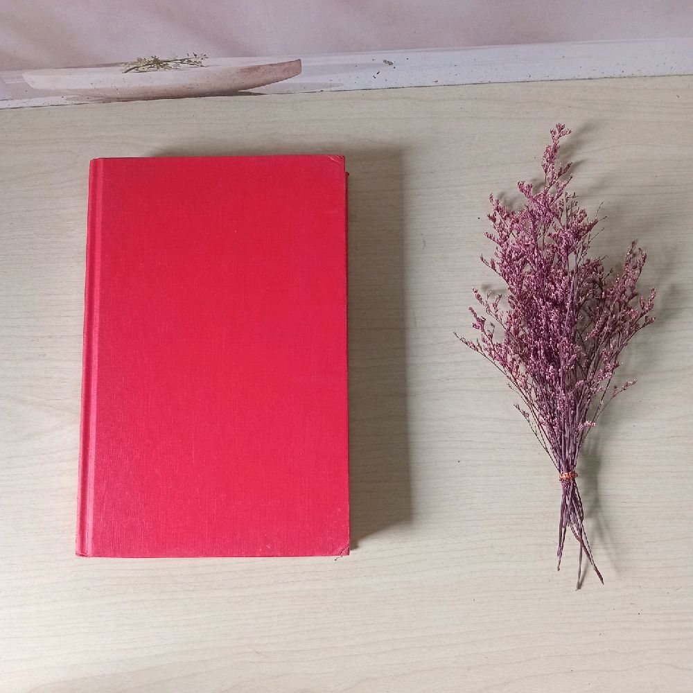 หนังสือสําหรับเด็กผู้หญิง - Julliana Foster