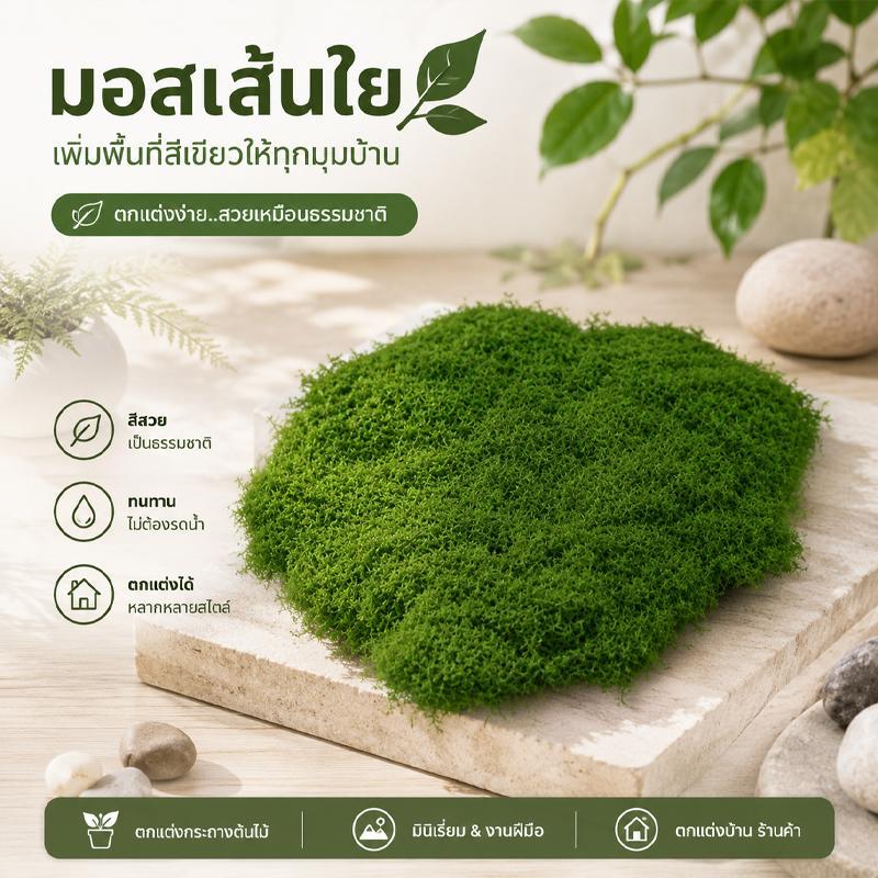 ไอเทมแต่งบ้านห้ามพลาด! มอสเส้นใยสีเขียวธรรมชาติ นุ่มฟู คืนความสดชื่นให้ห้อง สวยทนนาน 💯