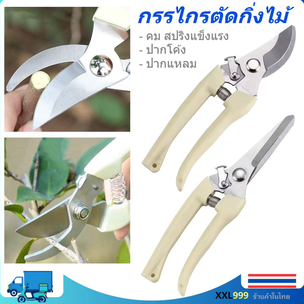 กรรไกรตัดแต่งกิ่งไม้ กรรไกรแต่งกิ่งไม้ กรรไกรตัดกิ่งไม้ มีแบบปากโค้ง แบบปากตรง กรรไกร