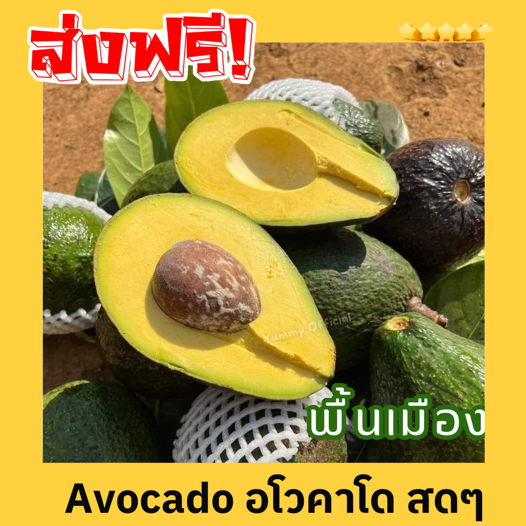 J  ส่งฟรี ‼️ (1KG) avocado อโวคาโด้ อโวคาโด้สด อโวคาโดสด สดจากไร่ อโวคาโด้ พื้นเมือง แฮส อะโวคาโด อะโวคาโด้ อะโวคาโดสด
