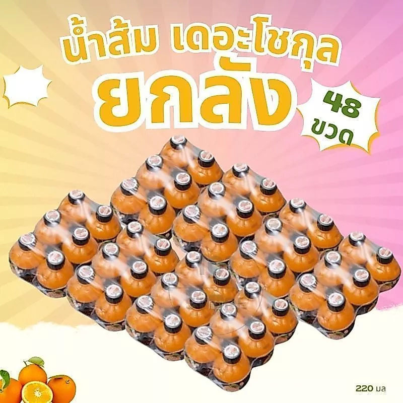 เดอะโชกุน น้ำผลไม้ ยกลัง 48 ขวด (220 ml.) น้ำส้ม น้ำลิ้นจี่ สตรอเบอร์รี่ องุ่น สัปปะรด เลม่อน