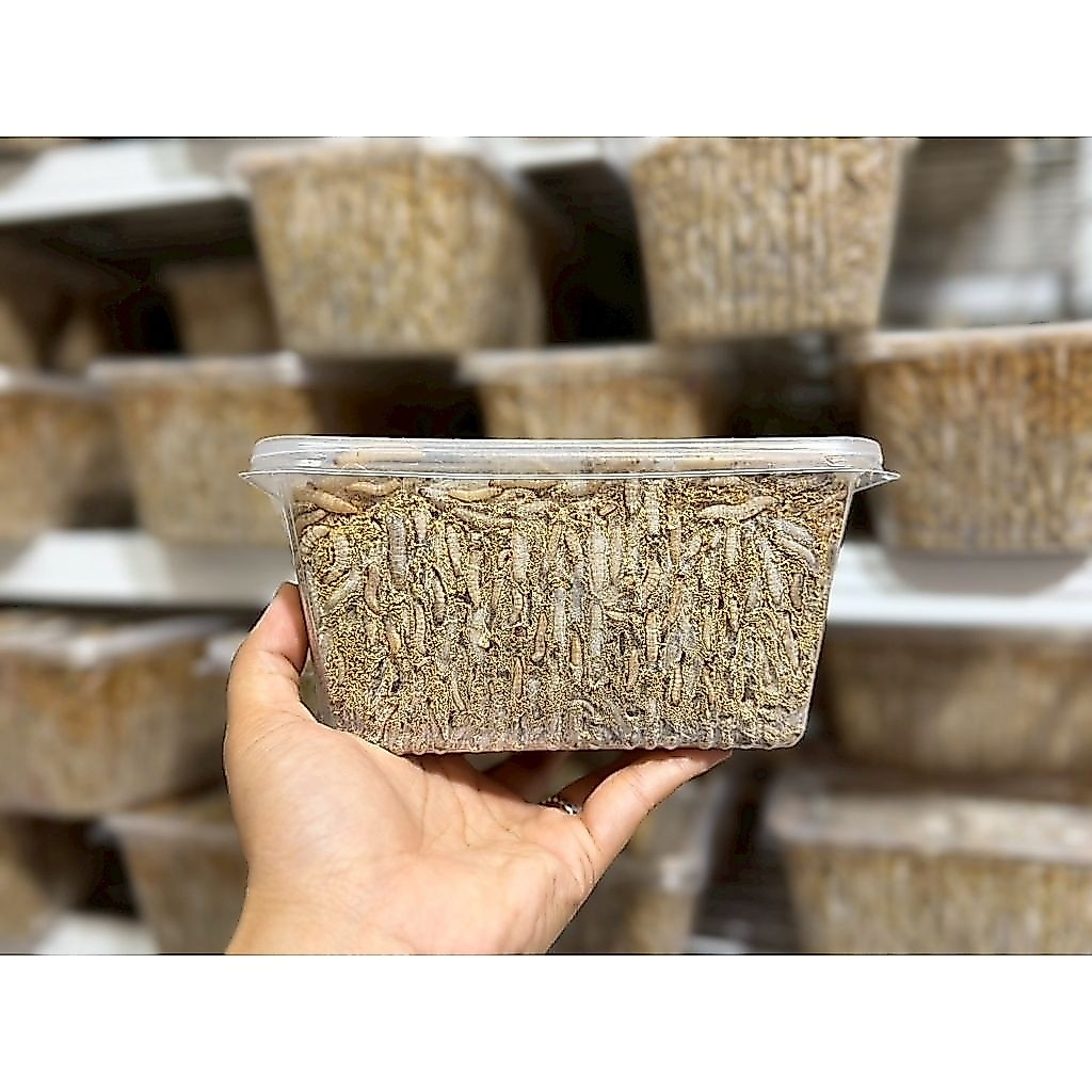 พร้อมส่ง หนอนน้ำผึ้ง1000มล