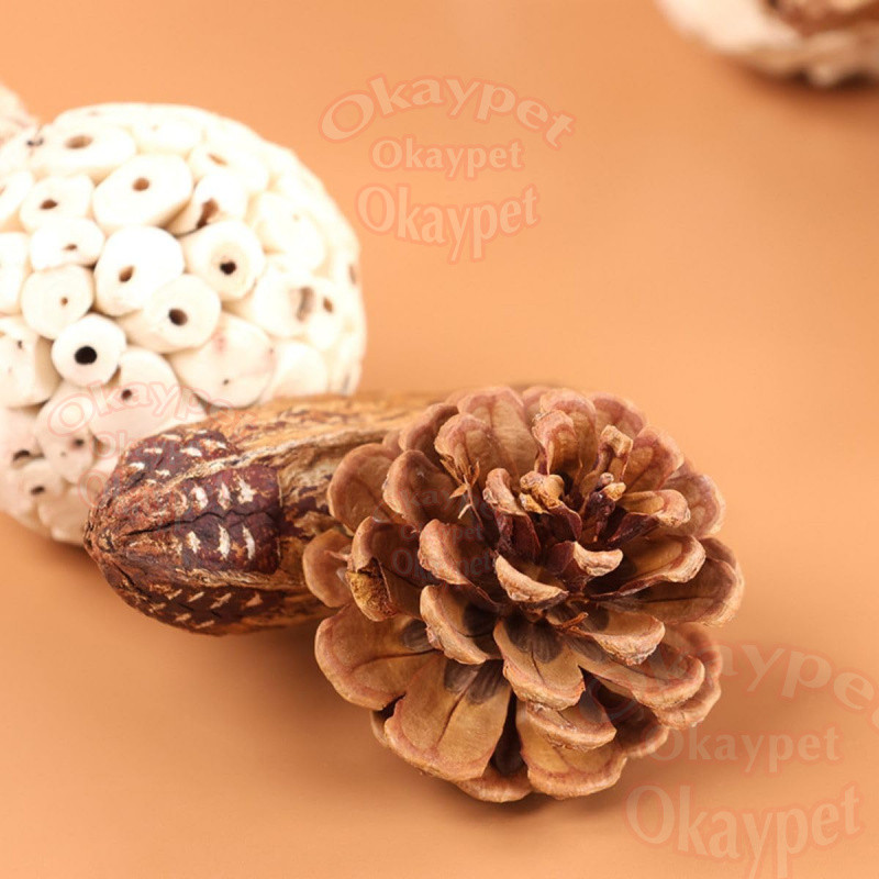 ของเล่นกัดแทะ ของเล่นนกแก้ว ของเล่นนกสําหรับสัตว์เลี้ยงนกนกแก้ว Sola Ball ถั่วธรรมชาติ Pinecone - รูปที่ 7