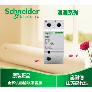 Schneider Lightning Protection Surge Protector iST 20 2P 20KA A9L916621