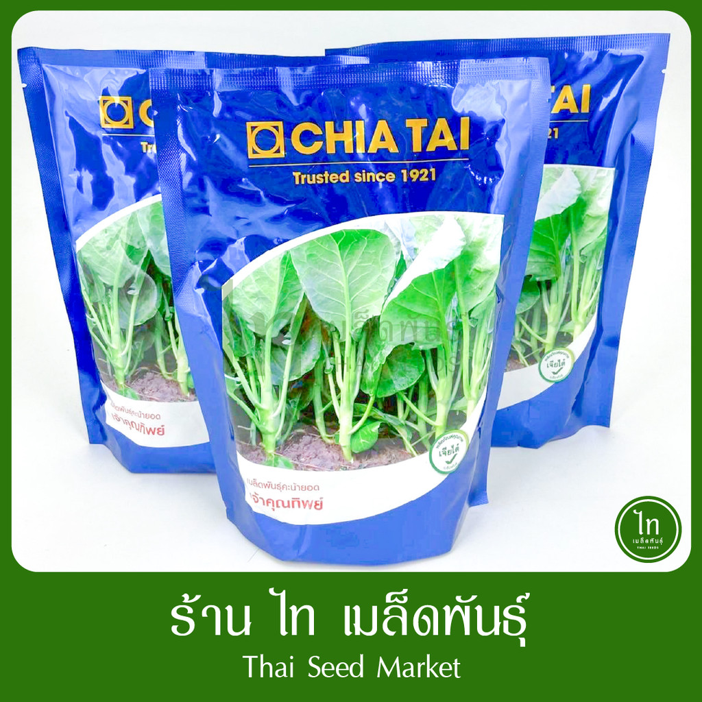 คะน้า เจ้าคุณทิพย์ เมล็ดพันธุ์ คะน้ายอด ตราเจียไต๋ บรรจุ 500 กรัม