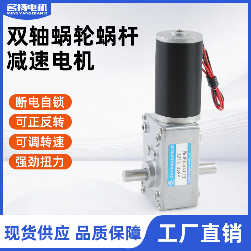 微型直流减速电机5840-31zy双轴蜗轮蜗杆低速12伏24v大扭力小马达