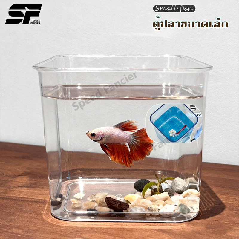 โหลปลากัด อะคริลิคใส ตู้ปลามินิ ตั้งโต๊ะ เหมาะสำหรับปลากัดและสัตว์น้ำจิ๋ว