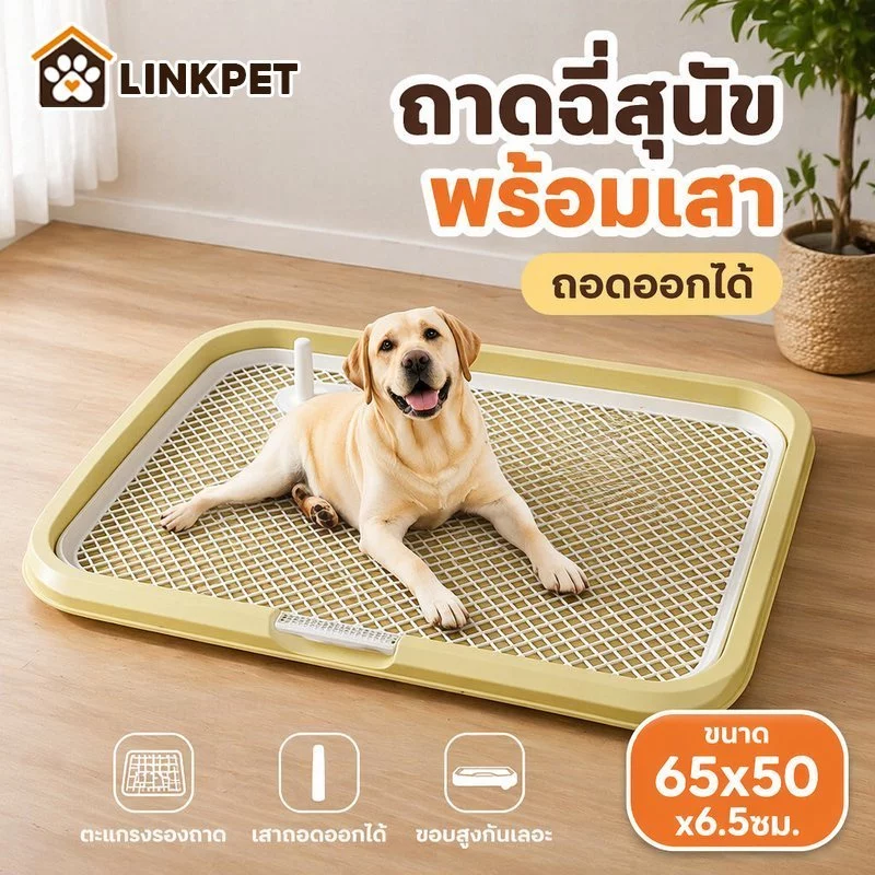 ห้องน้ำสุนัข ถาดฉี่สุนัข ถาดรองฉี่สุนัข ตะแกรงรอง ถอดล้างง่าย กันฉี่กระเด็น สุนัขพันธุ์ใหญ่