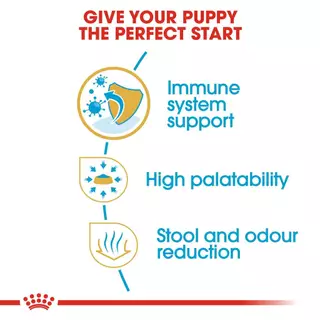 Royal canin CHIHUAHUA PUPPY อาหารเม็ด ลูกสุนัข พันธุ์ชิวาวา ถุงขนาด 500 g