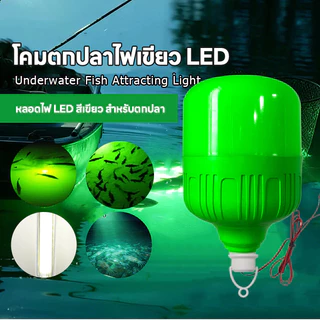 ไฟตกปลา ไฟคีบแบต ไฟสีเขียว 800W DC12V ไฟไดหมึก สีเขียวล่อปลา อุปกรณ์ตกปลา กันน้ำระดับ IP20