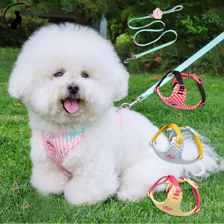 【CDDMPET】สายรัดและสายจูงแบบปรับได้สําหรับสุนัขขนาดกลางขนาดเล็กแมวพร้อมตุ๊กตาตกแต่ง