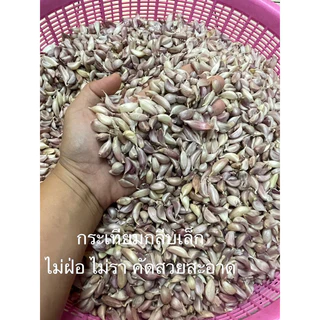 กระเทียมไทยกลีบเล็ก ไทยกลีบ น้ำหนัก 1 กิโลกรัม คละไซส์