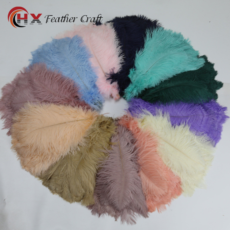 Feather-Ostrich Feather แจกันตกแต่งขนนกนกกระจอกเทศขนาดใหญ่สีสันสดใสพร้อมสต็อก20251007