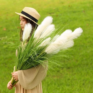 ช่อดอกหญ้าปลอม 5 สาขา สีเขียว สําหรับตกแต่งงานแต่งงาน วันวาเลนไทน์ สําหรับตกแต่งบ้าน