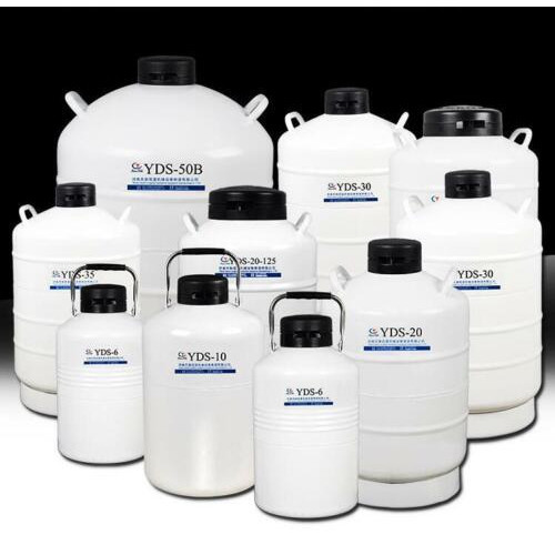 6L Liquid Nitrogen Tank Cryogenic LN2 Container Dewar