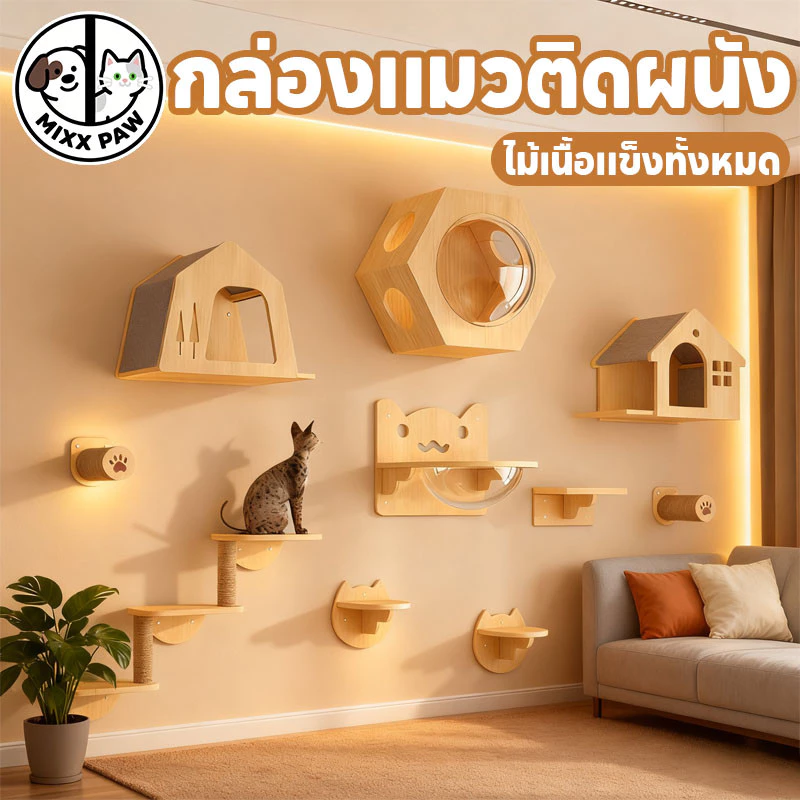  คอนโดแมวติดผนัง คอนโดแมวติดผนัง กล่องแมวติดผนัง โครงปีนแมวแบบแขวนประตู ไม่มีเสี้ยน ไม่มีกลิ่น