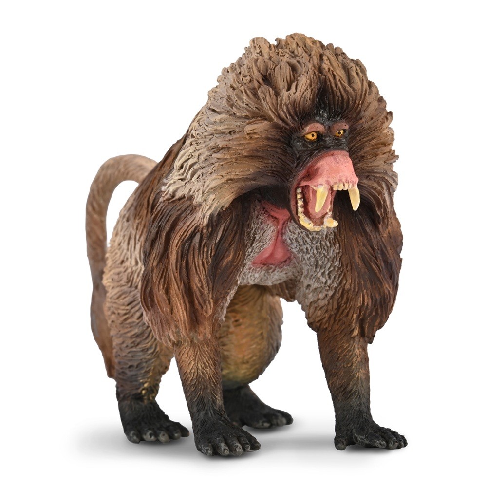 2026 New Collect Gelada Model ของเล่นคลาสสิก