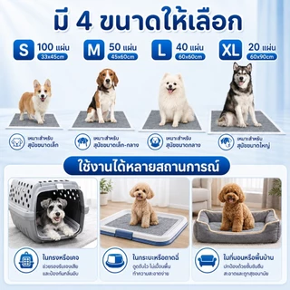 PETWELL แผ่นรองฉี่สุนัข แผ่นคาร์บอน ซึมซับไดีดี ต่อต้านแบคทีเรีย ช่วยฝึกขับถ่าย ระงับกลิ่น เหมาะสำหรับสุนัขทุกสายพันธุ์