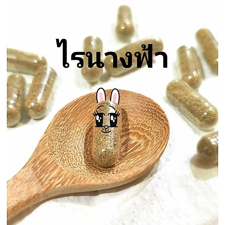 ชุด 2 ซอง (ราคาพิเศษ) ไข่ไรน้ำนางฟ้า ซองละ 1 กรัม อาร์ทิเมียน้ำจืด อาหารอนุบาลลูกปลาและพ่อแม่พันธุ์ พร้อมคู่มือเพาะ