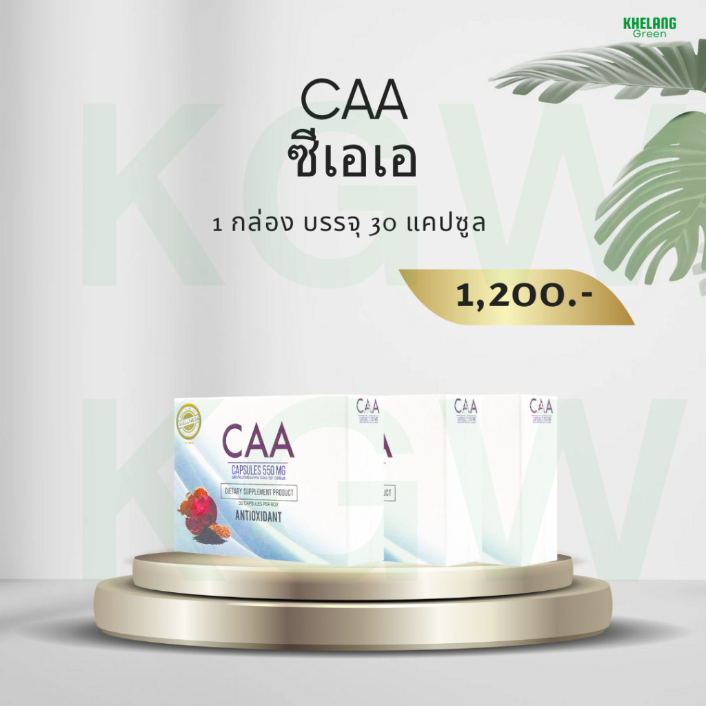 ผลิตภัณฑ์เสริมอาหาร ซีเอเอ CAA