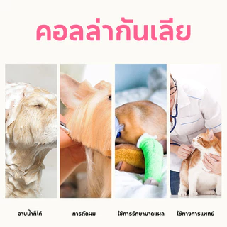 COD คอลล่ากันเลีย แบบผ้า ติดล๊อคด้วยกระดุม ได้ ปลอกคอกันเลีย ปรับขนาด ลำโพงแมว สุนัข หมา สัตว์เลี้ยง คอลล่าแมว