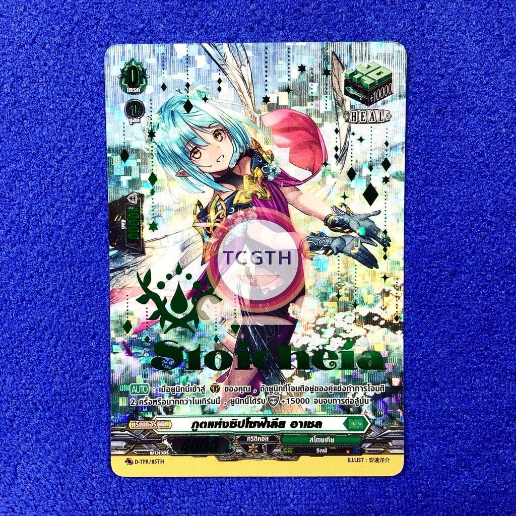 ภูตแห่งซิปโซฟีเลีย อาเชล เนชั่นสโตยเคีย