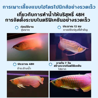 ปลาจะไม่ตายจุลินทรีย์น้ําใส Nitrifying Bacteria จุลินทรีย์ตู้ปลา ปรับสภาพน้ำใส ไม่มีสารเคมีปลอดภัย สลายขี้ปลา จุลินทรีย์