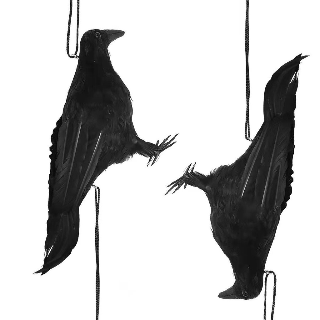 อุปกรณ์ประกอบฉากจําลองขนนกอีกาคู่จี้ตกแต่งข้ามพรมแดนปาร์ตี้ฮาโลวีนอีกาชุด TMNT