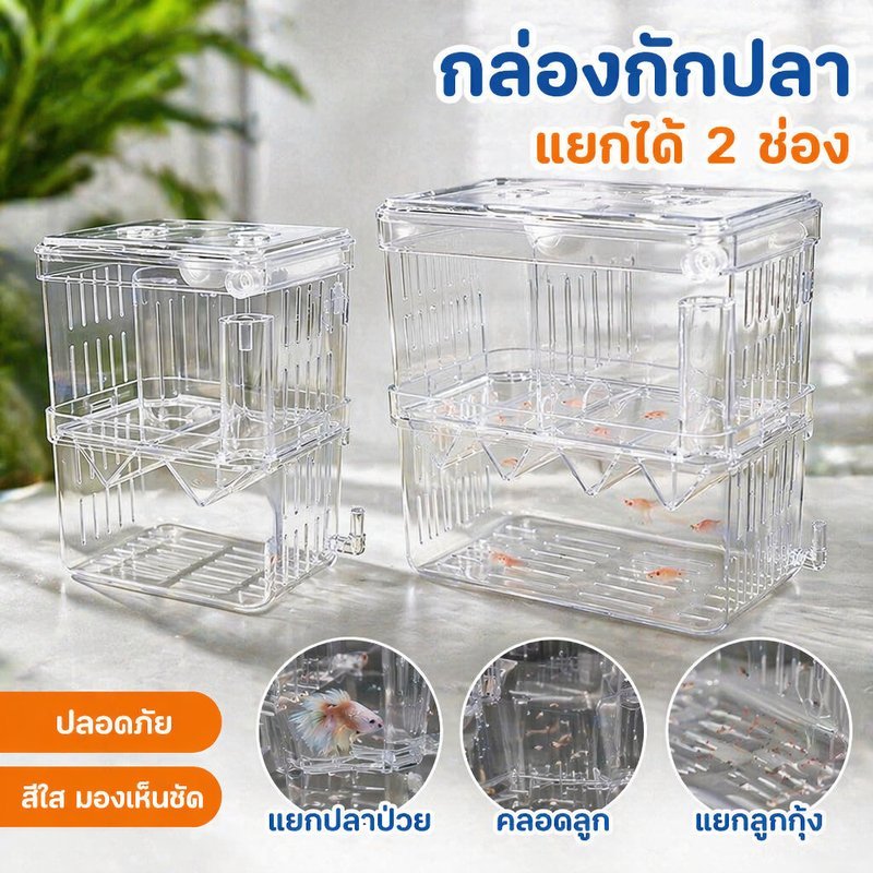 กล่องแยกปลา กล่องกักกันปลา กล่องคลอดปลา อะคริลิคใส 2ช่อง แยกปลาป่วย เพาะพันธุ์ปลา ลูกปลา