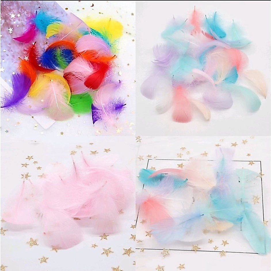 จัดโปร 1 แถม 1 ขนนก สีสันสดใส พร็อพถ่ายรูปสินค้า งาน DIY