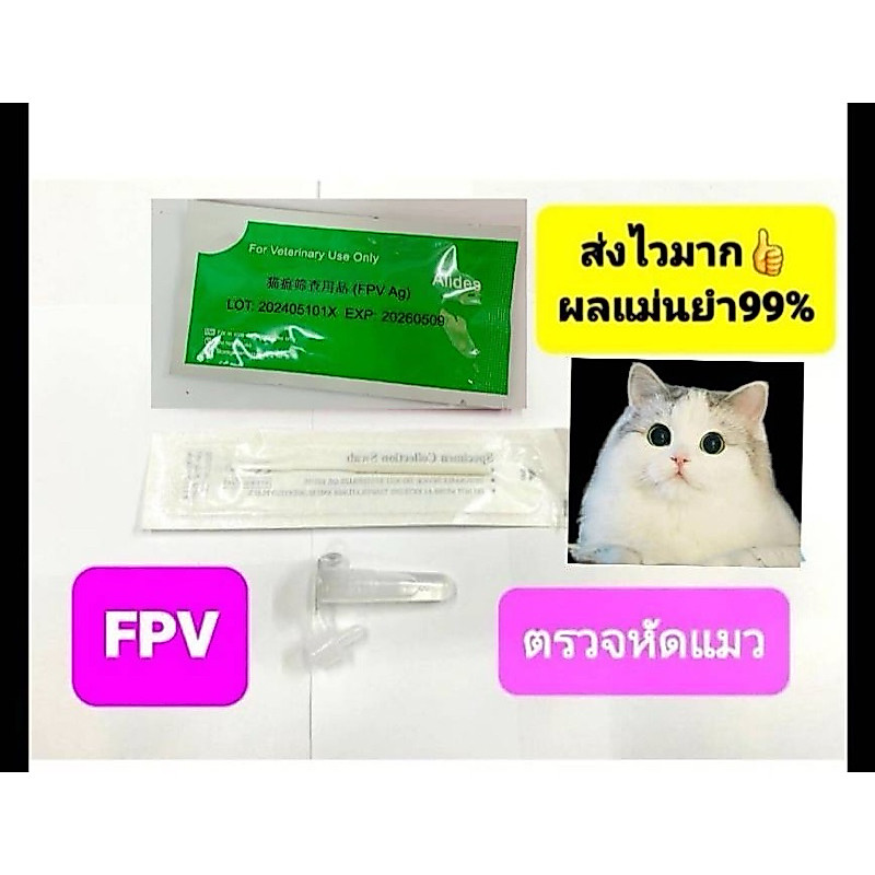 ชุดตรวจหัดแมวผลแม่นยําตรวจจากอุจจาระส่งสินค้าไวส่งทุกวัน