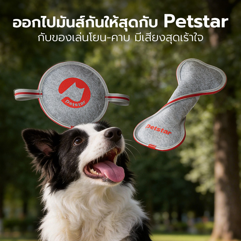 Pet Star لعبة قماش ثلاثية الطبقات للرمي والسحب للكلاب — صورة 2