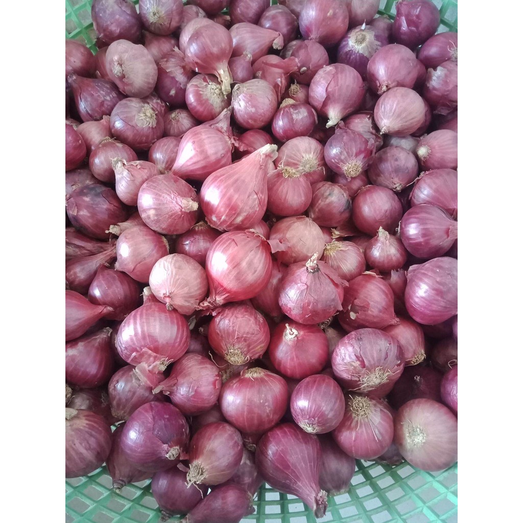 หอมแขกแดงหัวแน่นๆ.สีสวยๆ.คุณภาพดี.แห้งดี.เก็บไว้ได้นาน ขนาด 250กรัม