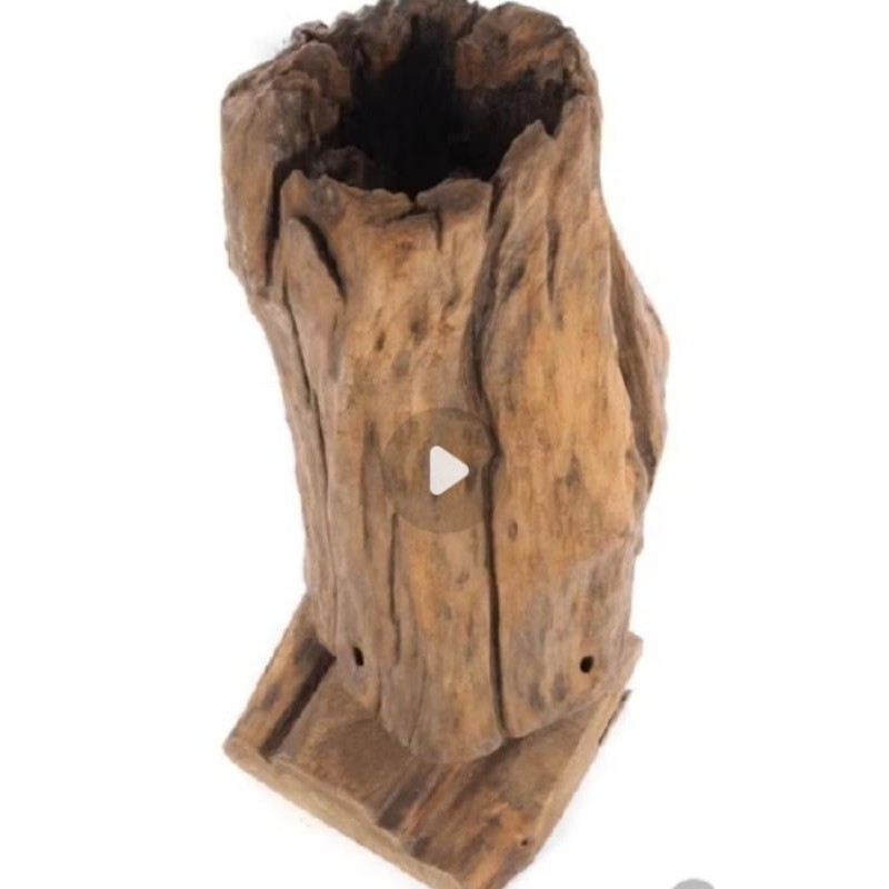 Root Wood Driftwood Sculpture Roots 80lnches 70-80cm Desing Wooden Unique Teak Figure With