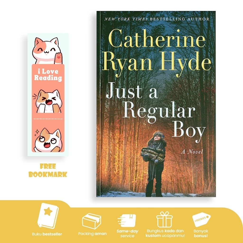 Just a Regular Boy โดย Catherine Ryan Hyde