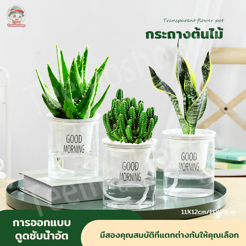 กระถางต้นไม้พลาสติกสองชั้น โปร่งใส รดน้ำตัวเอง ดูดซับน้ำอัตโนมัติ สำหรับบ้าน/สำนักงาน