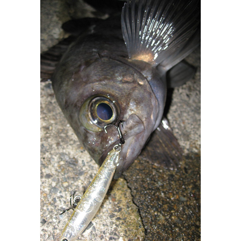 ตัวเบ็ด 3 ทาง DECOY รุ่น Y-S25 เบอร์10, 12 และ14 กล่องบรรจุ 8 ตัว สำหรับงาน เหยื่อปลอม และ light jigging - รูปที่ 5