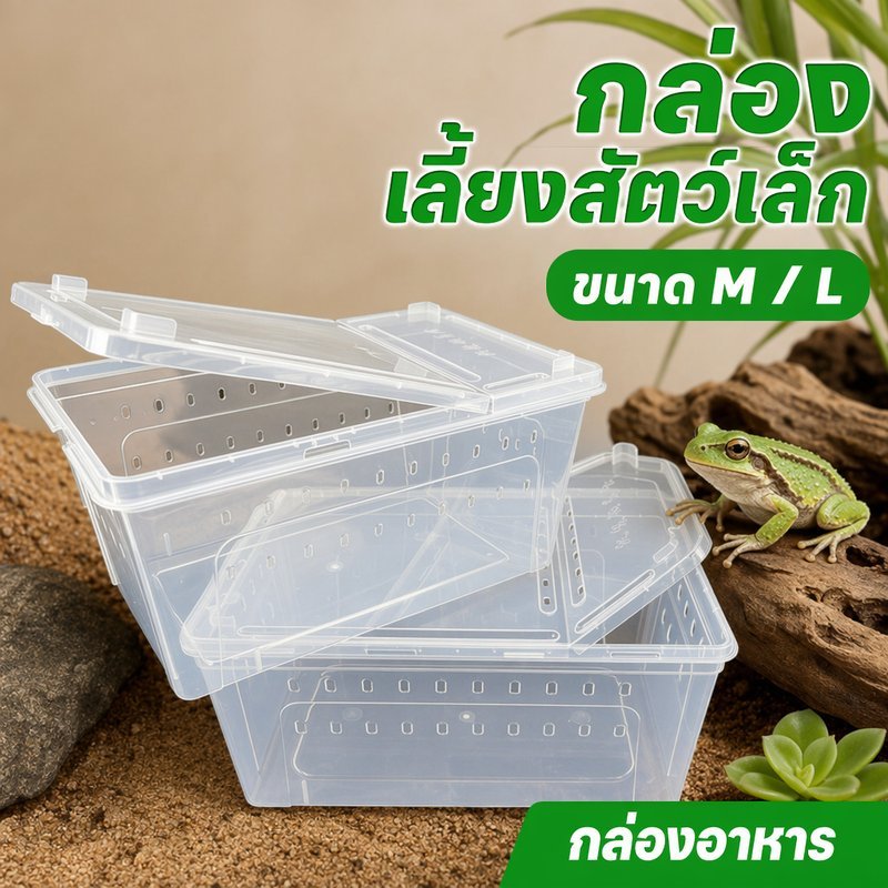 กล่องเลี้ยงสัตว์เลื้อยคลาน กล่องสัตว์เล็ก กล่องพลาสติก มีรูระบายอากาศ สำหรับงู กบ แมลง ปลา